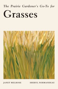 Book cover for "The Prairie Gardener's Go-to for Grasses" by Janet Melrose and Sheryl Normandeau. The background is a light tan and in the bottom half is a square watercolor image of a bunch of yellow and green prairie grass. The title, "Grasses" is in a large, black, bold, serif font and above that in a similar but very small font it reads, "The Prairie Gardener's Go-to for." At the bottom of the image is the two authors' names in a small, black, all caps, serif font reading, "Janet Melrose" on the left and "Sheryl Normandeau" to the right. Book cover is by Tree Abraham.